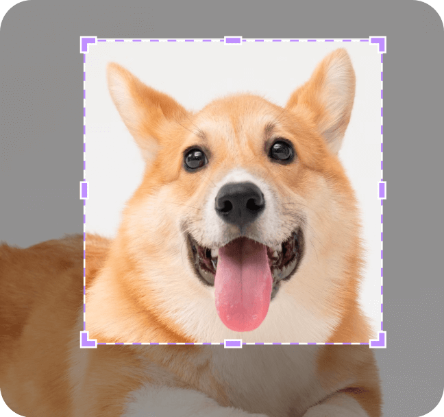 edit pdf image on ios：在iOS上編輯PDF圖像