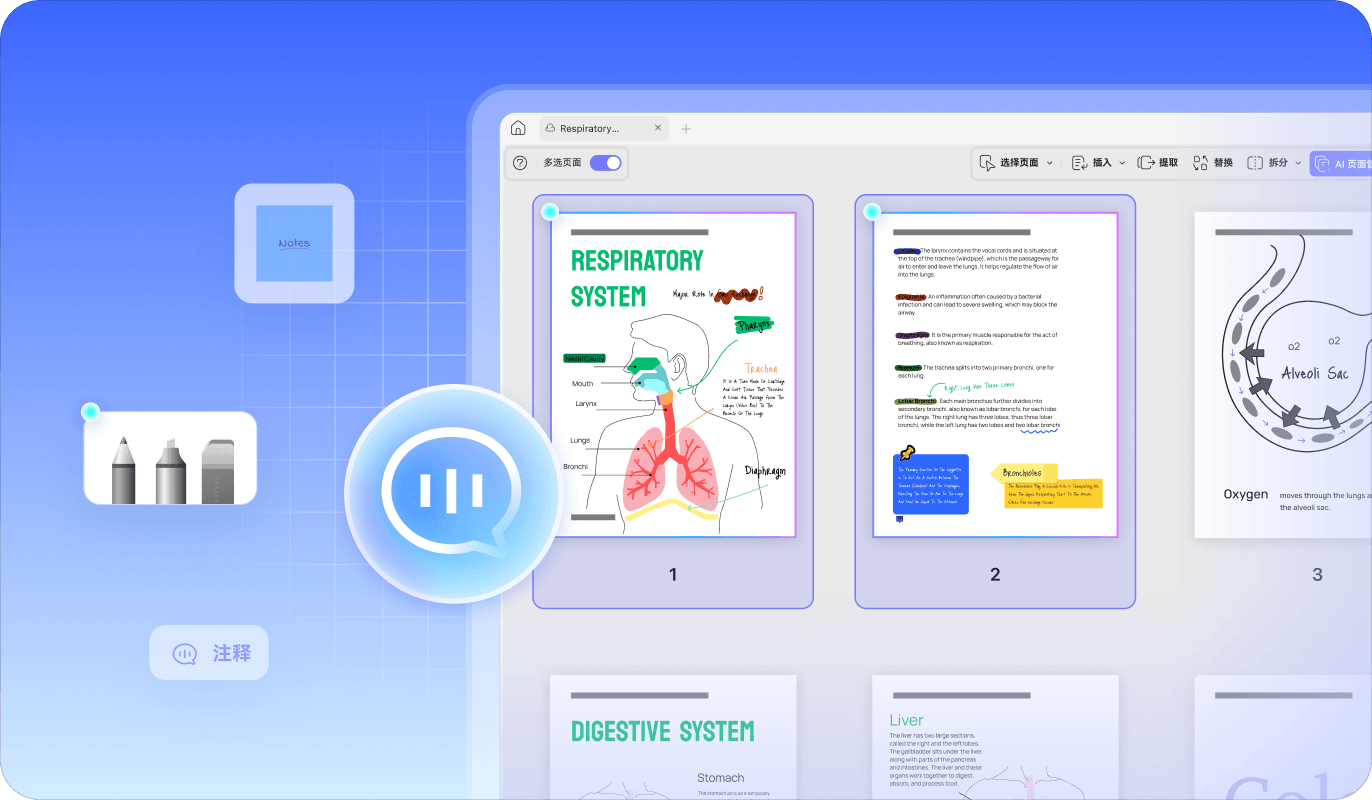 注解与评论检测