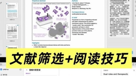 文献筛选内容案例