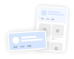 官方审核