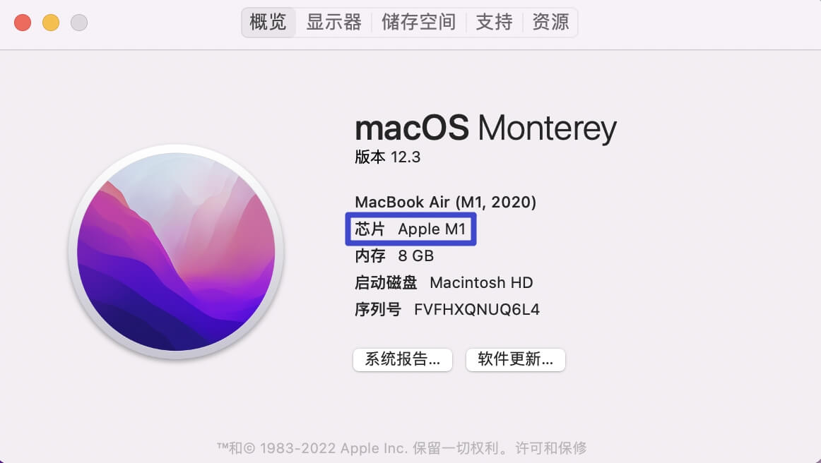 带有apple芯片的mac