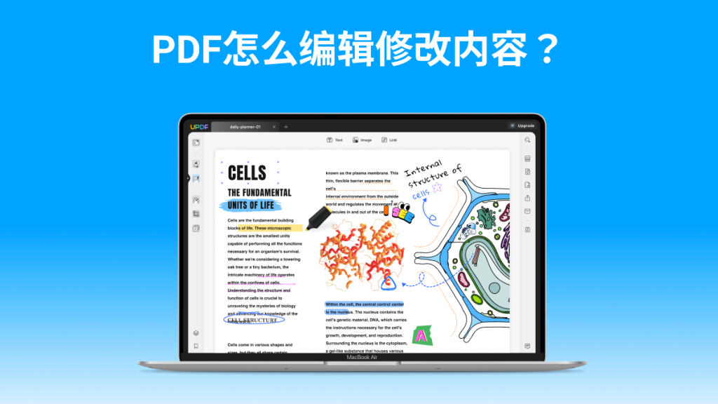 PDF怎么编辑修改内容？3个工具轻松实现！