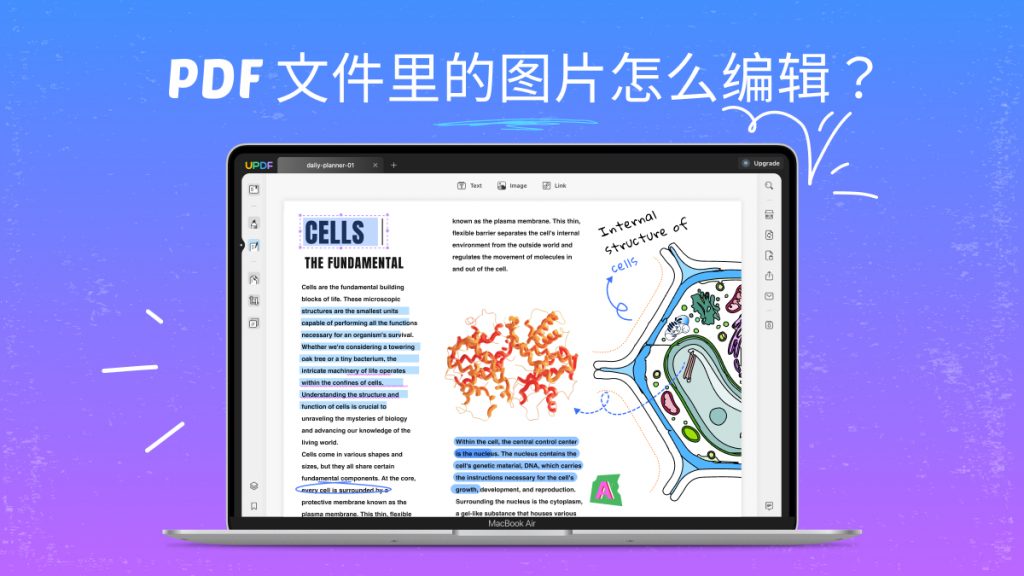 PDF文件里的图片可以编辑吗？PDF图片编辑怎么操作？