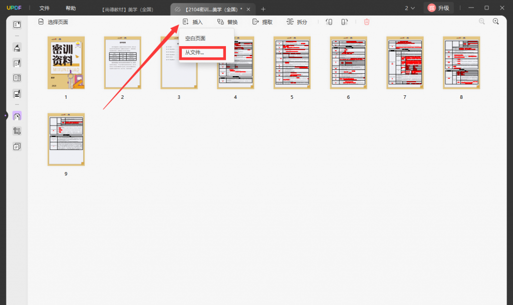 插入的PDF