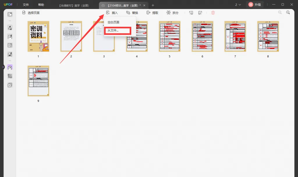 插入的PDF
