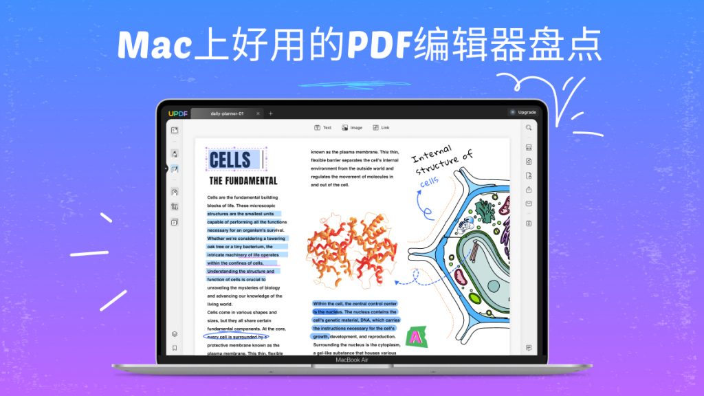 Mac上怎么编辑PDF文件？Mac上好用的PDF编辑器分享