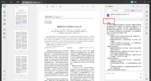 AI解释PDF步骤三