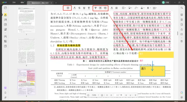 PDF文本注释框