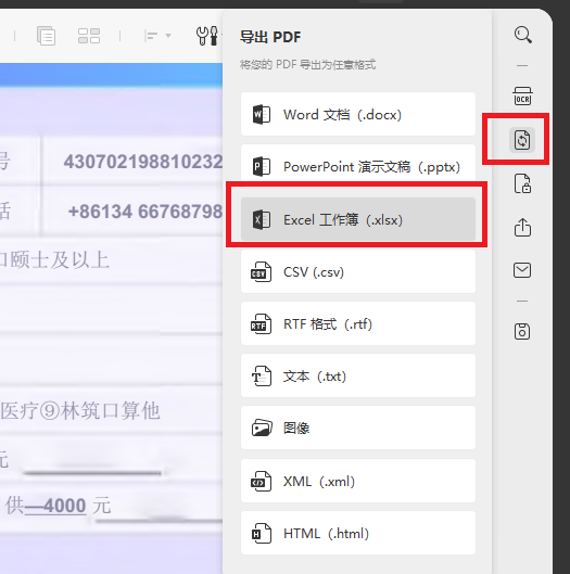 PDF导出为Excel工作簿