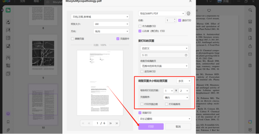 两页PDF合并打印的步骤三