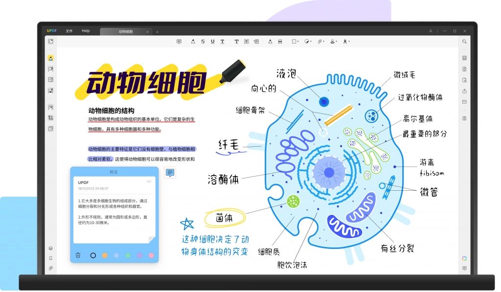 阅读PDF文献