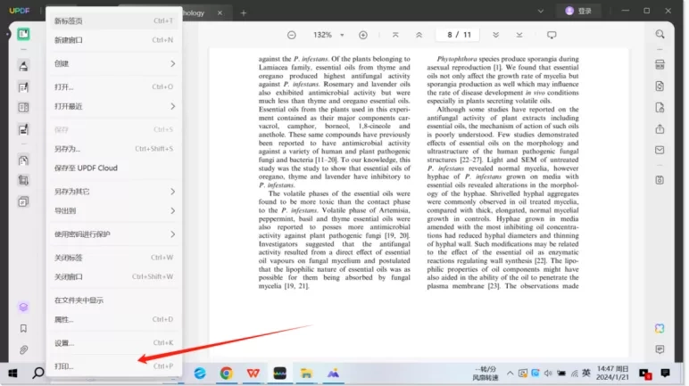 Windows系统上的打印步骤详解