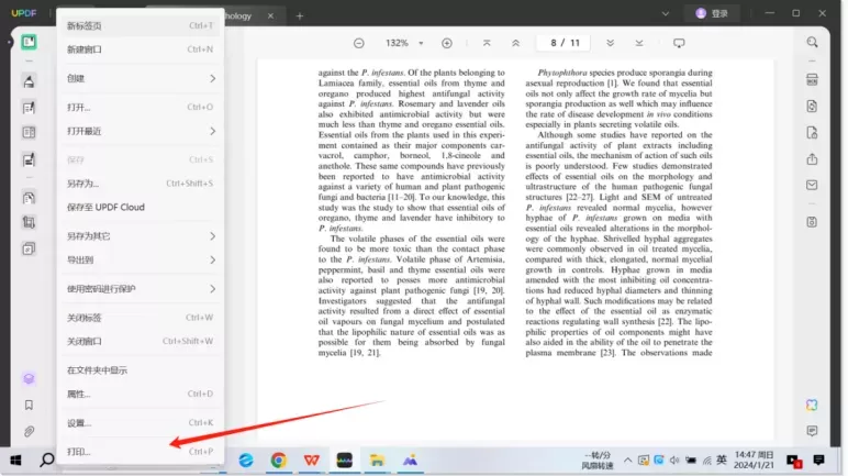 Windows系统上的打印步骤详解