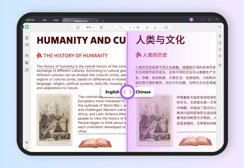 PDF全文翻译功能正式上线