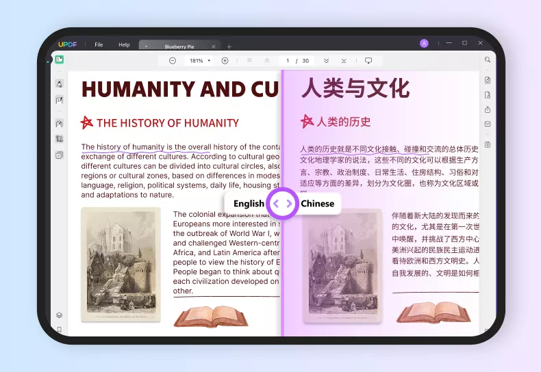 PDF全文翻译功能正式上线