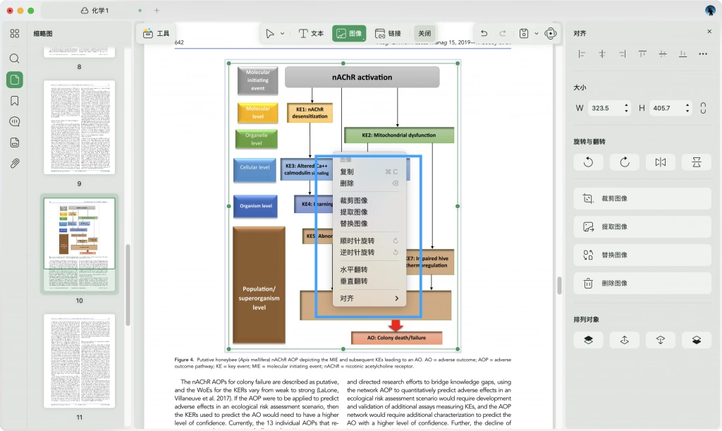 在 Mac 上编辑 PDF 图片