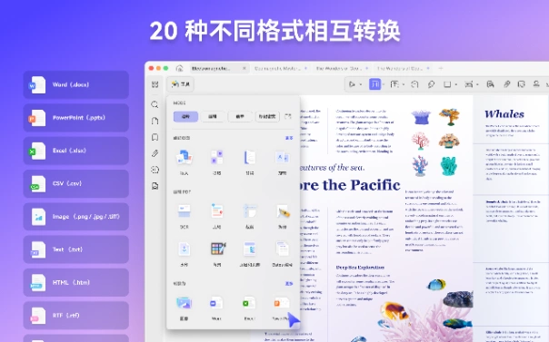 PDF格式转换