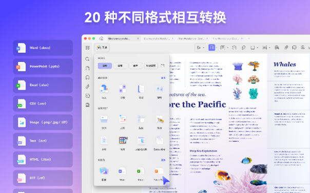 PDF格式转换