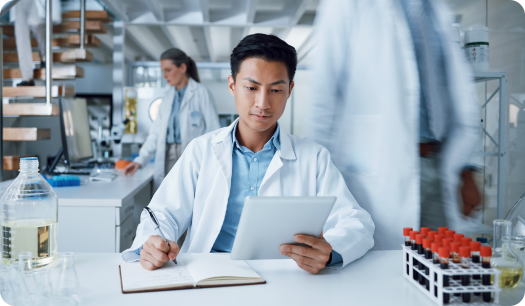 可视化文献关联图谱