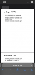 Safari 下载 PDF 文件