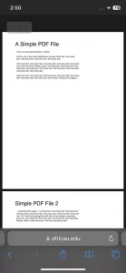Safari 下载 PDF 文件