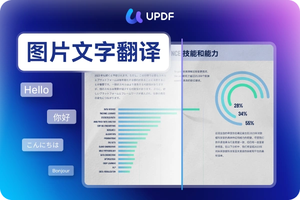 翻译功能