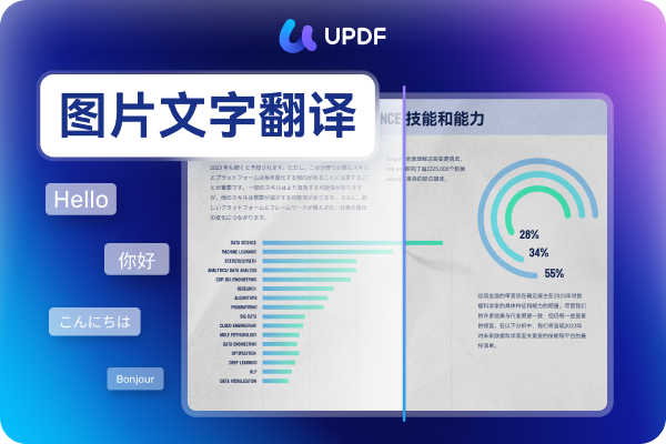 翻译功能