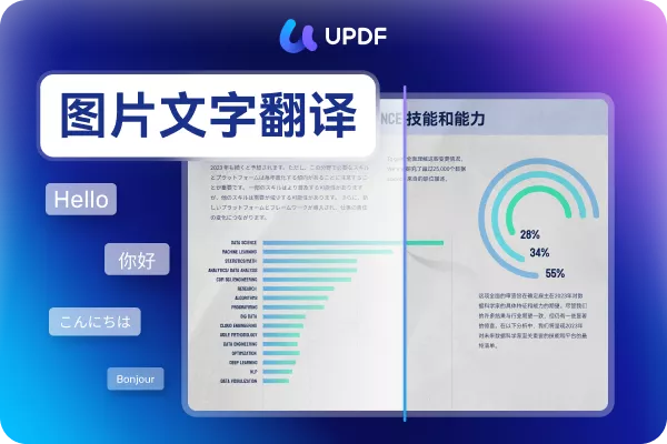 翻译功能