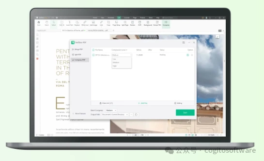SwifDoo PDF