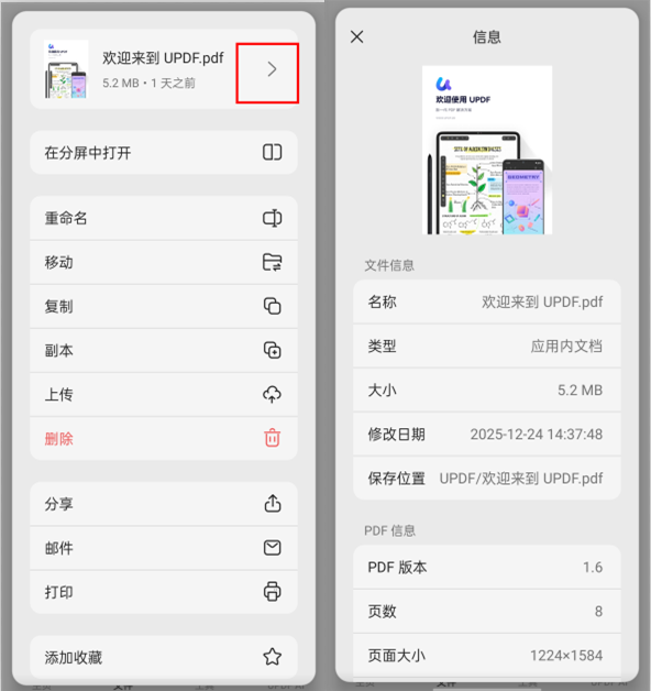 查看 PDF 文件详情