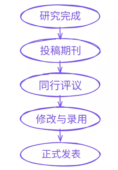 论文撰写流程