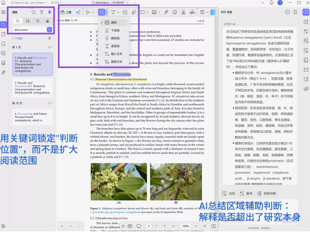 高亮与批注功能